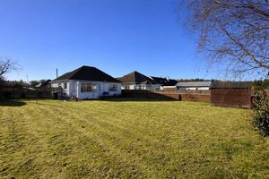 Photo 15- click for photo gallery